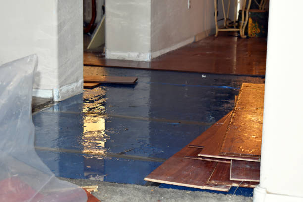 Professional Emergency Water Damage Restoration technician working in Dunlap, IN